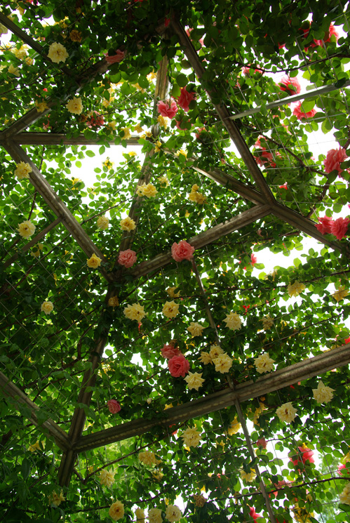 a0094762_21252475.jpg