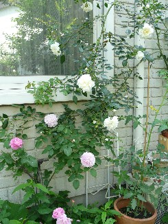 f0195963_1941100.jpg