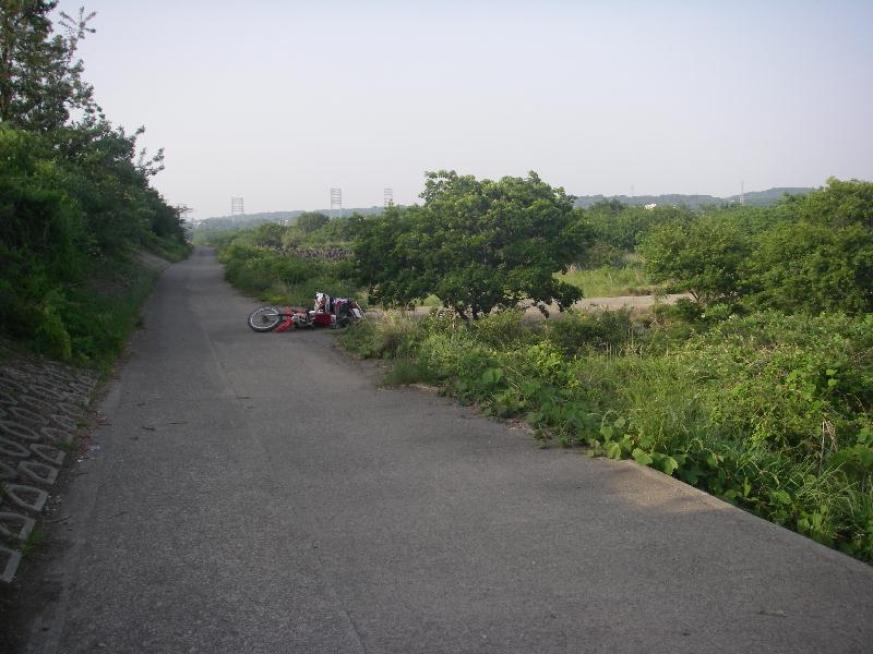b0024266_144890.jpg