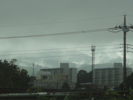 d0109373_21184832.jpg
