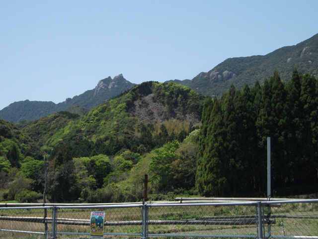 d0126573_11303483.jpg