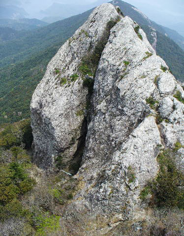 d0126573_11354992.jpg