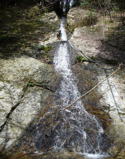 d0126573_1233970.jpg