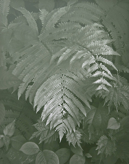 b0229474_1255764.jpg