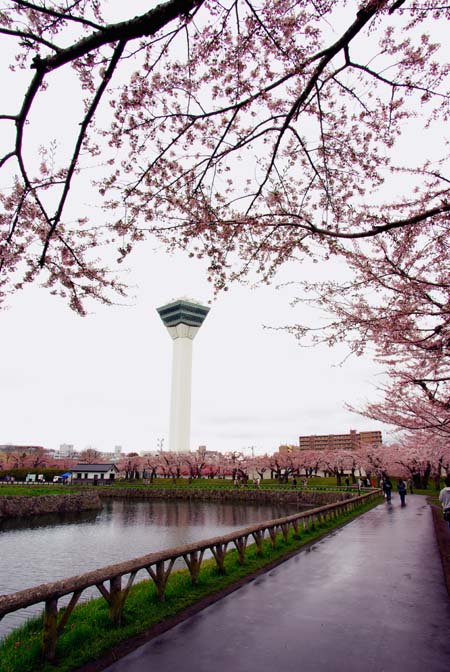 a0196876_23292968.jpg