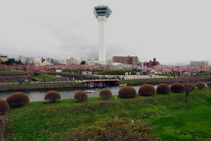 a0196876_2331958.jpg