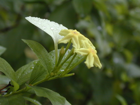 a0002177_1639639.jpg