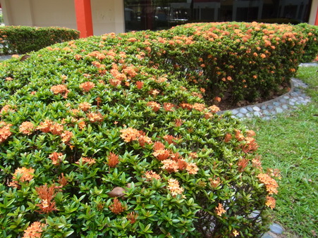 a0002177_19123749.jpg
