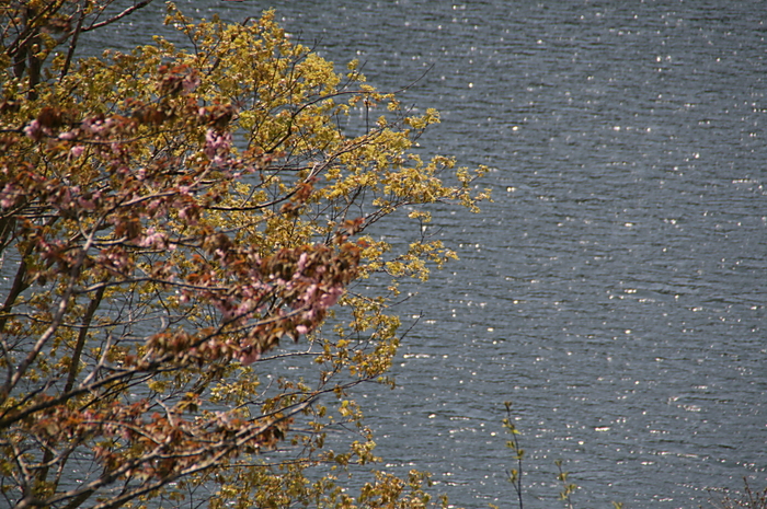 c0112479_21342774.jpg