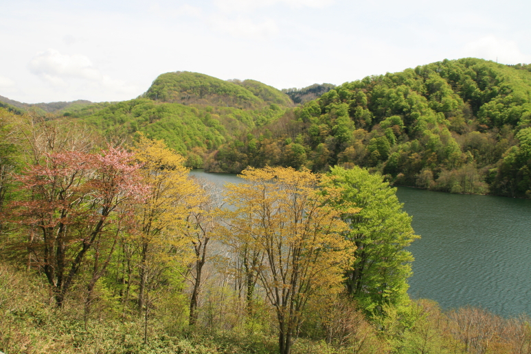 c0112479_21344298.jpg