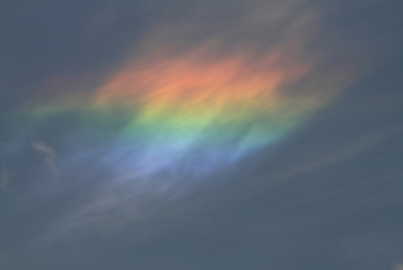 c0112479_21363832.jpg