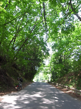 b0087187_2037751.jpg