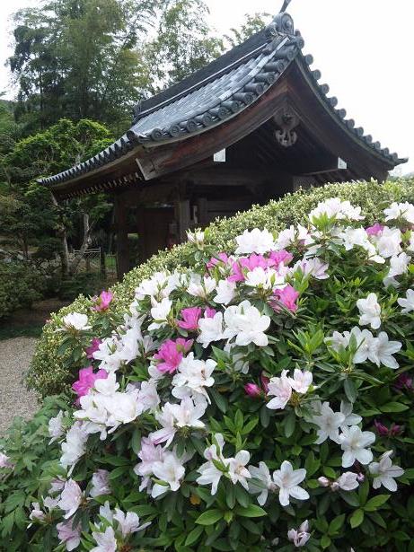 c0046587_21415489.jpg