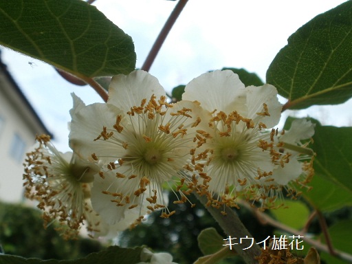 a0143388_2163119.jpg