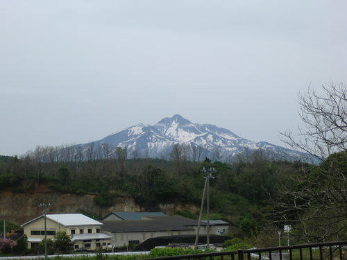 f0230992_1533476.jpg