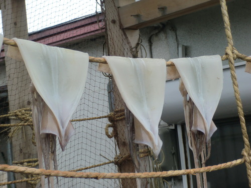 f0230992_15405764.jpg