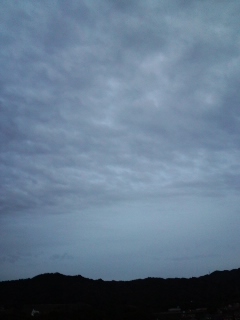 b0118793_1905681.jpg