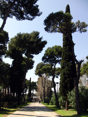 e0140496_2241658.jpg
