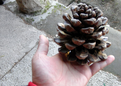 e0140496_2341651.jpg