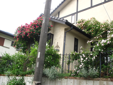 f0178897_19154237.jpg