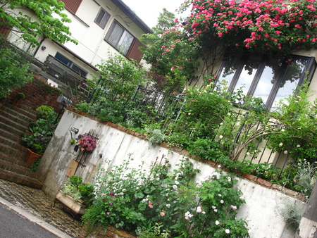 f0178897_19161880.jpg