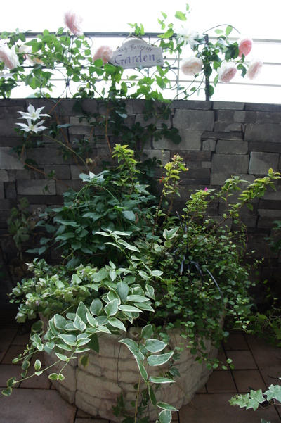 c0227800_9475559.jpg