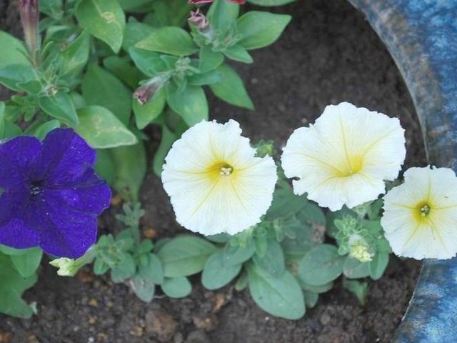 e0025300_14173167.jpg