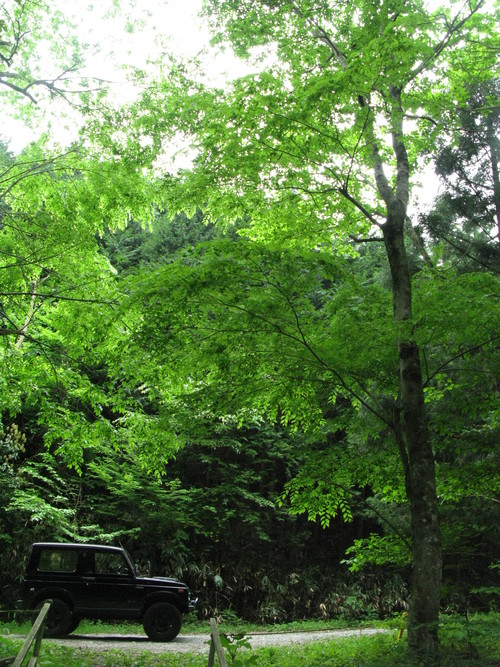 a0166601_21431070.jpg