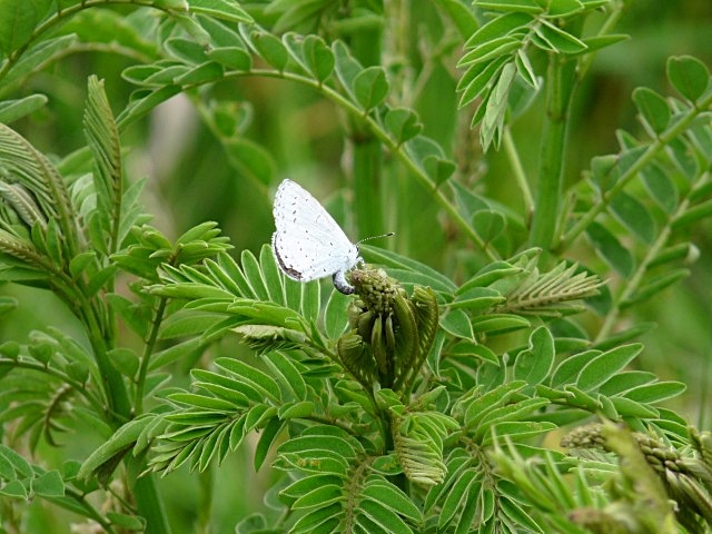 b0025101_0454876.jpg