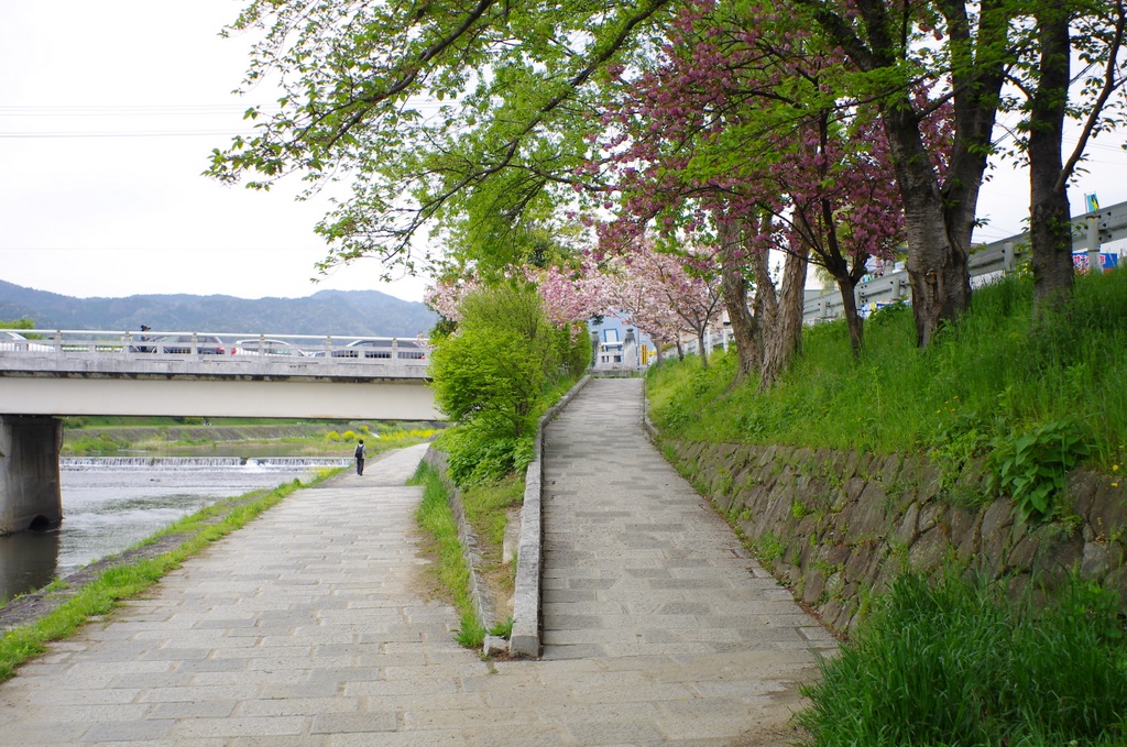 b0138101_2246496.jpg