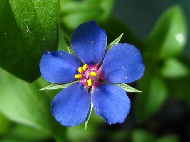 f0236201_848550.jpg
