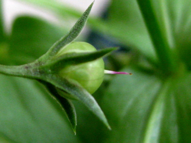 f0236201_8495232.jpg
