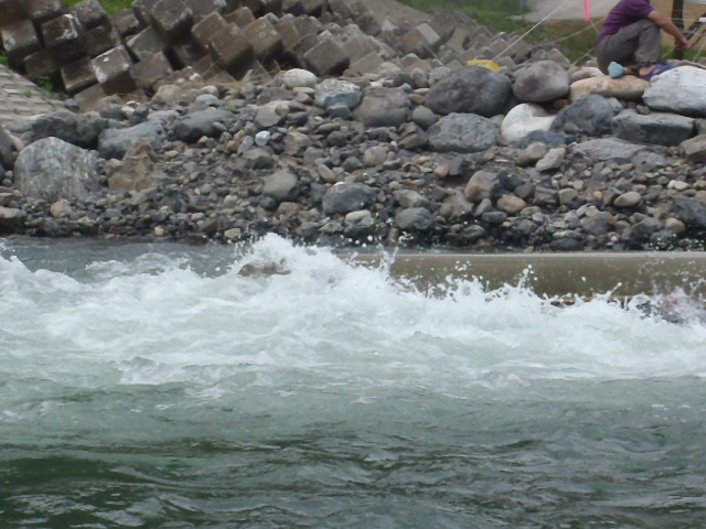 a0121502_8454110.jpg