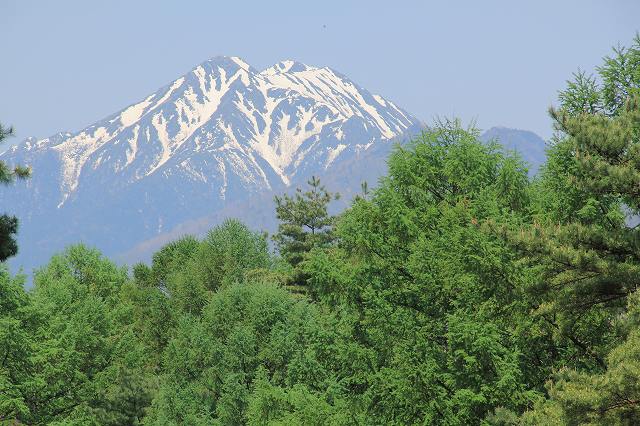 a0188405_636886.jpg