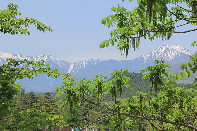 a0188405_7145451.jpg
