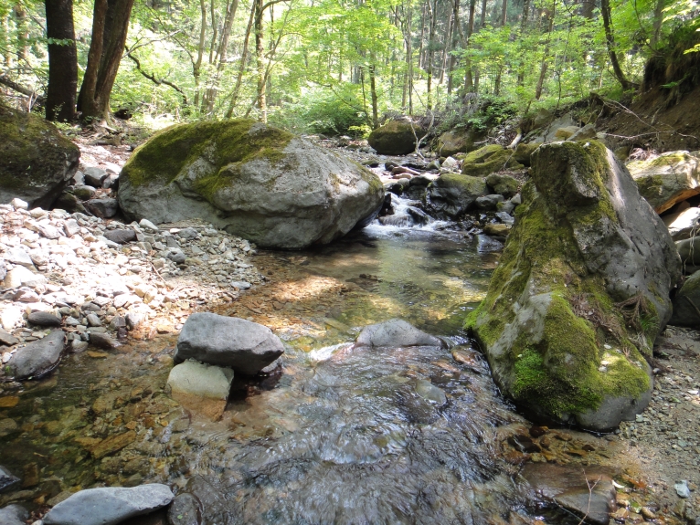 b0172805_16392636.jpg