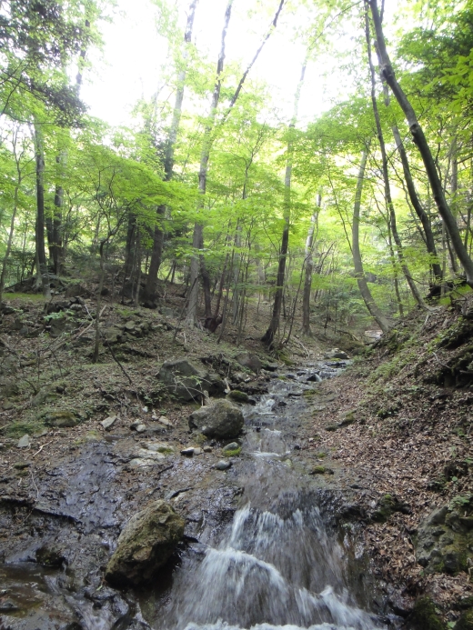 b0172805_17253684.jpg
