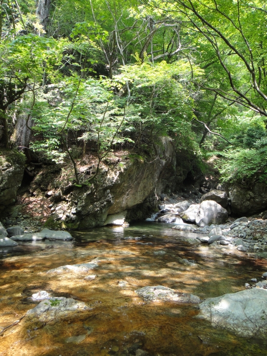 b0172805_1755977.jpg