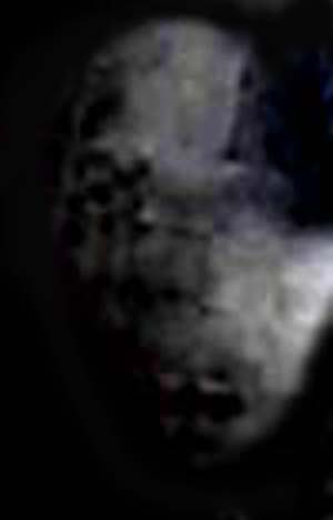 e0103408_18323991.jpg