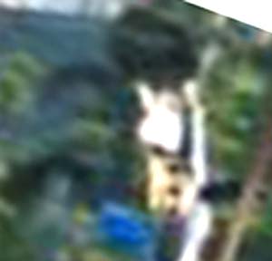 e0103408_23374449.jpg
