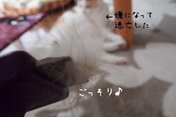 b0042310_22443326.jpg