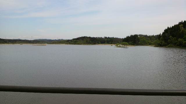 b0035611_20163225.jpg