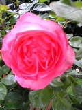 f0053615_21341773.jpg