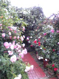f0053615_21342861.jpg