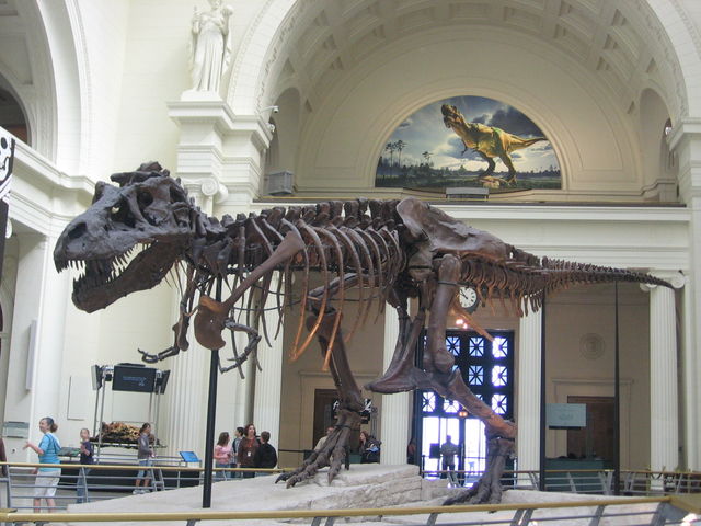 f0127915_5544168.jpg