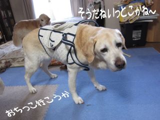b0008217_10554029.jpg