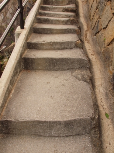c0136217_424142.jpg