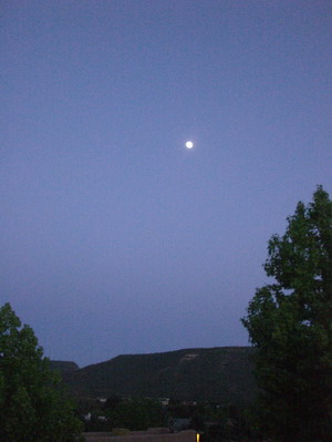 f0105318_1463149.jpg
