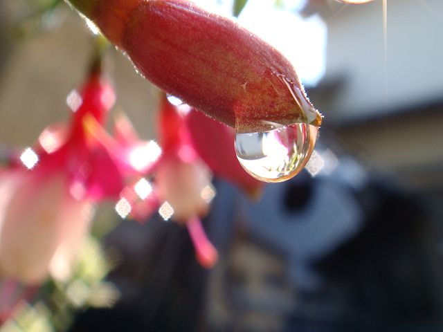 c0219220_21515796.jpg