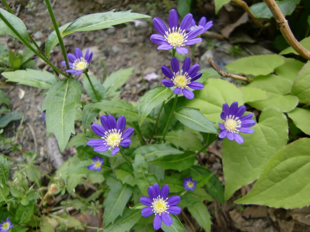 e0234924_833558.jpg